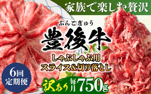 【全6回定期便】訳あり！おおいた豊後牛 しゃぶしゃぶすき焼き セット（スライス・切り落とし） 750g 日田市 / 株式会社MEAT PLUS 訳あり 牛肉 おおいた豊後牛 おおいた 豊後牛 黒毛和牛 スライス 切り落とし しゃぶしゃぶすき焼き しゃぶしゃぶ すき焼き 和牛 [AREI078]