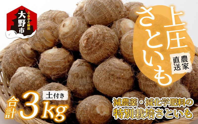 
                  【先行予約】【発送月が選べる】上庄さといも 3kg （Mサイズ） 減農薬・減化学肥料の特別栽培里芋 農家直送【2026年10月～12月発送】産地直送 年内発送 10月 11月 12月 
                