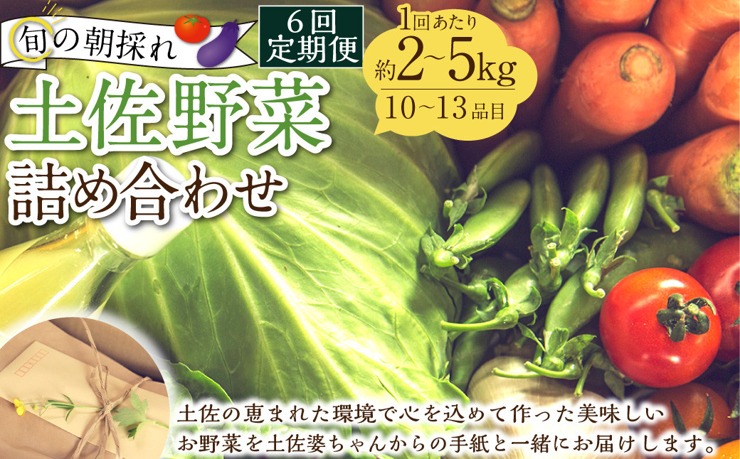 
            【定期便6回】旬の朝採れ土佐野菜詰め合わせ（10～13品目）詰め合わせ 野菜セット 野菜 ギフト やさいセット お取り寄せグルメ 家庭用 旬野菜 新鮮 特産 農薬不要 食材
          