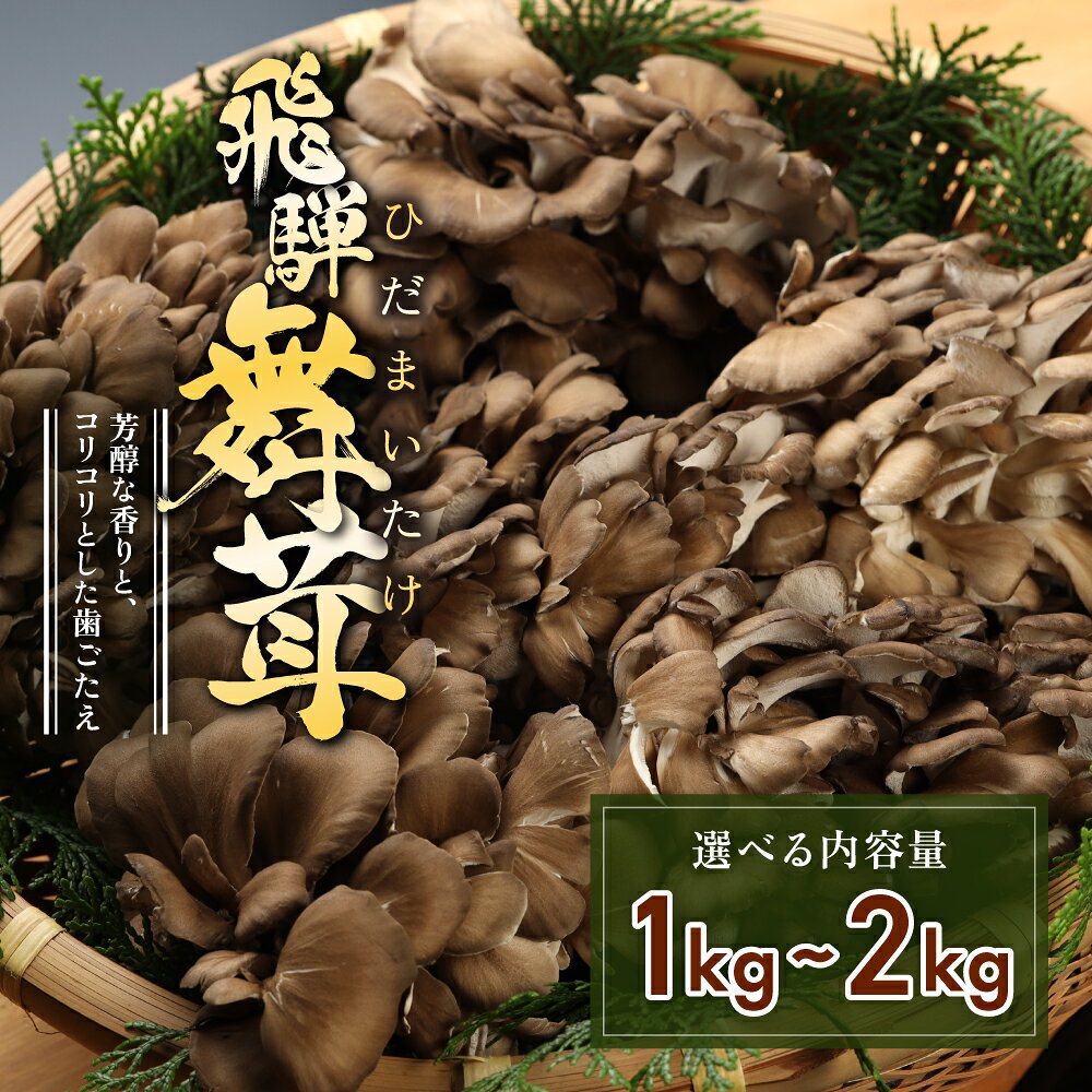 【ふるさと納税】飛騨舞茸 1kg／2kg 簡易包装 訳あり 黒舞茸 まいたけ 舞茸 高級 自宅用 大量 たっぷり 天ぷら 炒め物 低カロリー ヘルシー 9000円 16000円 マイタケ まいたけ キノコ 岐阜県 下呂市 きのこ 大容量