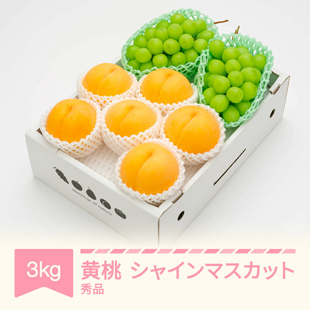 【ふるさと納税】【先行予約】 もも ぶどう 有袋黄桃 秀品＆ シャインマスカット 詰め合わせ 品種おまかせ 化粧箱入り 約3kg 令和八年産 2026年産 山形県産 果物 送料無料 ns-fsosx3※沖縄・離島への配送不可