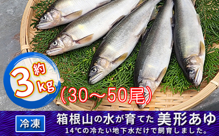 箱根の水が育てた美形あゆ【冷凍 約3kg（30～50尾）】