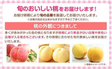 【先行予約】桃 かつらぎ町産桃 約2kg