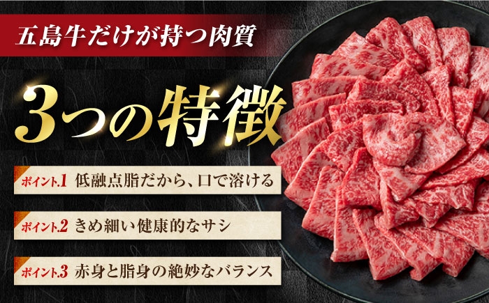 冷凍 牛肉 ブランド牛 和牛 長崎和牛 肩ロース バラ 贈答 高級 贈り物 贅沢