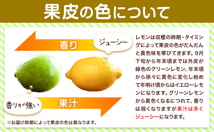 紀州和歌山 有田レモン 約3kg 有田マルシェ《2026年9月下旬-2027年2月下旬頃発送予定》和歌山県 日高町 れもん 檸檬 フルーツ ギフト 送料無料