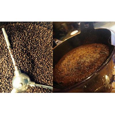 ふるさと納税 下呂市 緑の館 / フレンチ豆 300g×2(600g)【17-94】 |  | 01