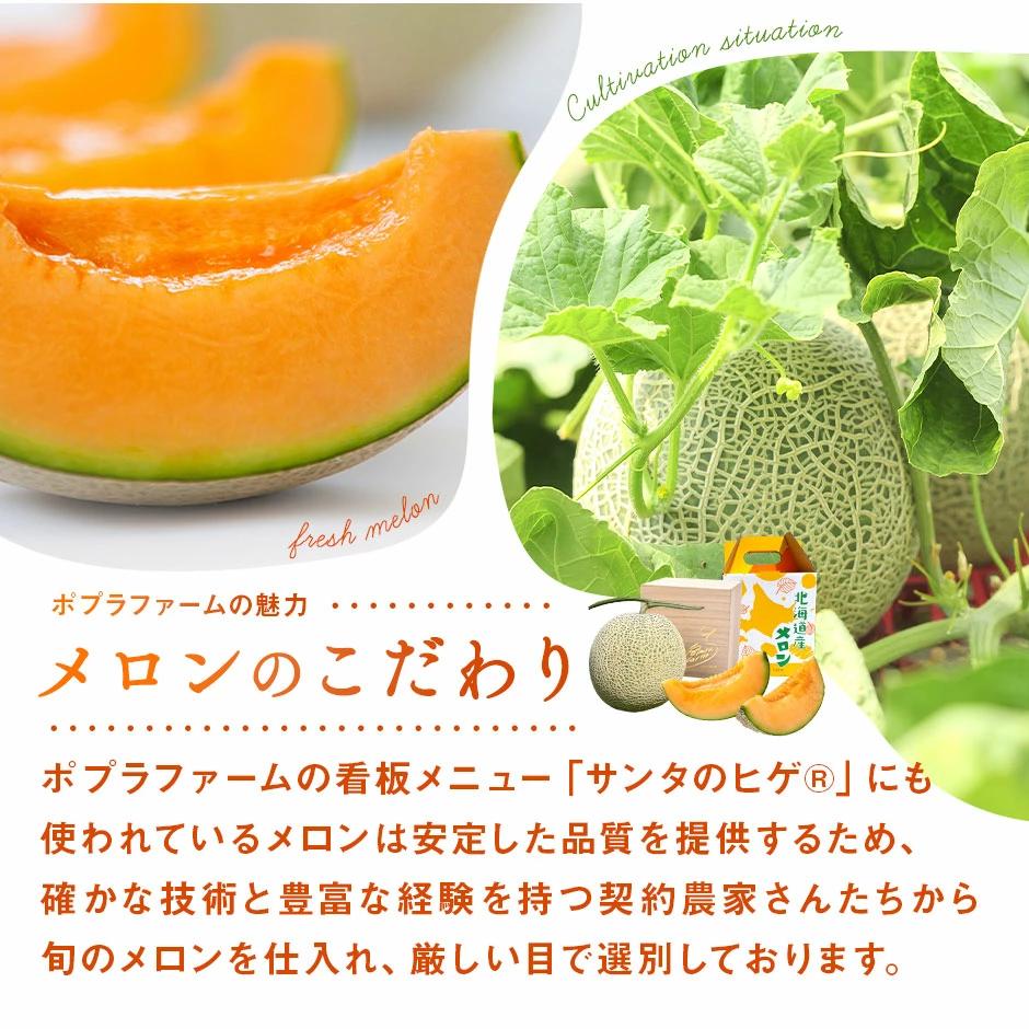 【2026年発送】【ポプラファーム】富良野メロン（2kg以上　秀品　大玉1玉）