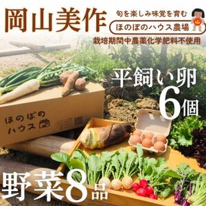 岡山美作の赤土台地でじっくり育てた季節の野菜約8種類と平飼い卵(6個入り)のセットです。_野菜 玉ねぎ  たまねぎ タマネギ  卵・乳製品 卵  たまご タマゴ 玉子  野菜 じゃがいも いも ジャガイモ 馬鈴薯  野菜 さつまいも いも サツマイモ 薩摩芋  野菜  いも イモ 芋  野菜  トマト   野菜 人参 根菜 にんじん ニンジン  野菜 大根 根菜 だいこん ダイコン  野菜 にんにく・生姜 根菜 ニンニク にんにく しょうが ショウガ  野菜  根菜   野菜 かぼちゃ  カボチャ 南瓜  