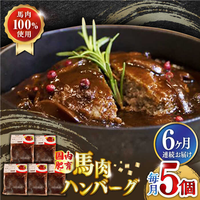 【ふるさと納税】【全6回定期便】国内肥育 冷凍 馬肉ハンバーグ 計1kg ( 200g × 5個 ) デミグラスソース入り 小分け 個包装 惣菜 湯煎 熊本【有限会社 丸重ミート】[YAK038]