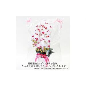 造花 シルクフラワーの胡蝶蘭の鉢植 5本立 CT触媒 ライトパープル ／ お花 コチョウラン 埼玉県
