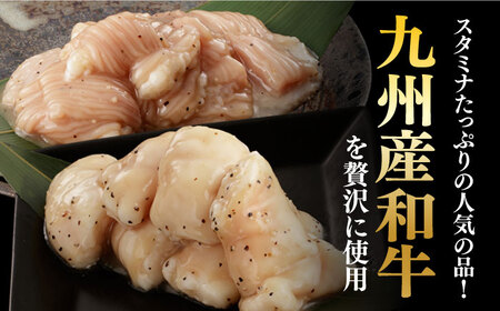 【全12回定期便】【塩だれ】九州産和牛 ホルモン 2種 計1kg（ シマチョウ 250g×2袋・ 丸腸 250g×2袋） 長与町/岩永ホルモン [EAX153]国産 牛肉 ミックス 小分け 味付き 冷