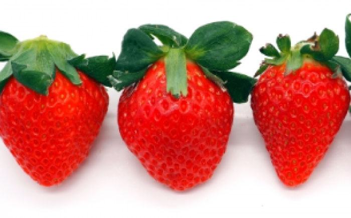 さがほのか4パック / いちご / 佐賀県 / 一般社団法人龍乃 [41ANAC002]