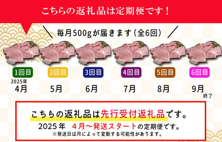 【定期便全6回】 松阪牛 焼肉 （特選ロース） 500g 【受付時期・発送時期限定】 SS16