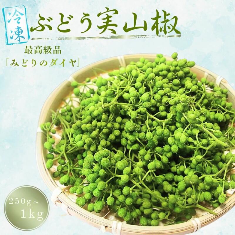 【ふるさと納税】 山椒 冷凍ぶどう山椒 【選べる容量】 250g 1kg / さんしょう 香辛料 調味料 薬味 冷凍 ぶどう山椒 生山椒 和歌山県 紀美野町 生実山椒