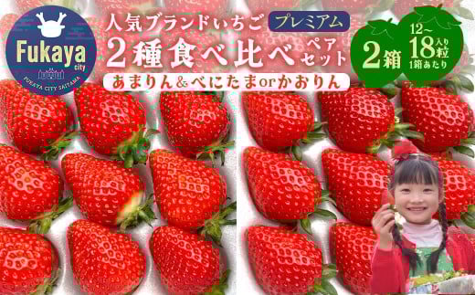 【埼玉県ブランドいちご】あまりん＆べにたまorかおりん　2種類食べ比べプレミアムペアセット！！（各種1箱／計2箱　1箱あたり12～18粒）　【11218-0944】