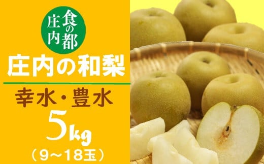 食の都庄内　庄内の和梨【幸水or豊水】約5kg※8月下旬ごろより順次配送