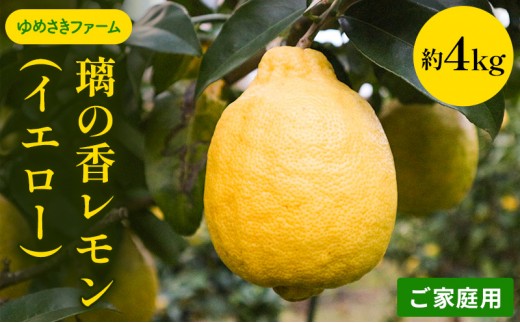 
                  れもん 先行予約 璃の香 レモン イエロー ご家庭用 約4kg 檸檬 柑橘 国産  果汁 果物 フルーツ ゆめさきファーム 
                