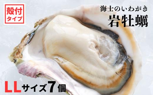 【いわがき殻付き LLサイズ 7個】岩牡蠣 生食可 冷凍 牡蛎 牡蠣 かき カキ 岩牡蠣 いわがき 冷凍 御歳暮 ギフト