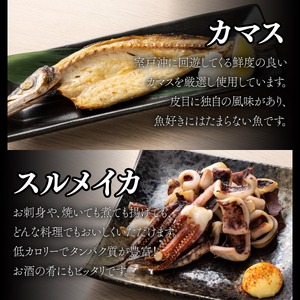 【定期便 奇数月6回】 干物 黒潮セット アジ開き5枚 鯵 アジ あじ カマス開き5枚 かます トロカマス スルメイカ1枚 冷凍 人気 干物 詰め合わせ 大容量 海鮮 魚介 白身魚 室戸海洋深層水 高