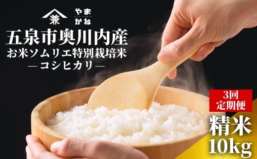 【令和8年産 コシヒカリ 先行予約】 【定期便3ヶ月】コシヒカリ10kg(5kg×2袋)×3回 五泉市奥川内産 お米ソムリエ 特別栽培米 | 新潟産コシヒカリ 新潟県産コシヒカリ 新潟県産こしひかり 米 お米 こしひかり 白米 精米 ブランド米 新潟県 五泉市 ライスファーマーやまかね