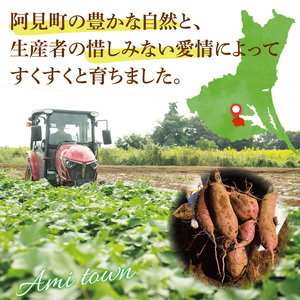 【12月下旬より順次発送】さつまいも くりかぐや5kg【甘藷 甘い さつま芋 サツマイモ 薩摩芋 茨城県産 茨城県 阿見町】(90-01)
