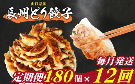 訳あり 長州どり餃子 180個 定期便 毎月12回 餃子 ギョウザ IB