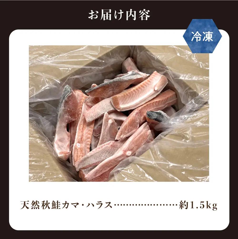 【先行受付】〈数量限定〉 知床斜里産 天然秋鮭カマ＆ハラス 1.5kg  鮭
