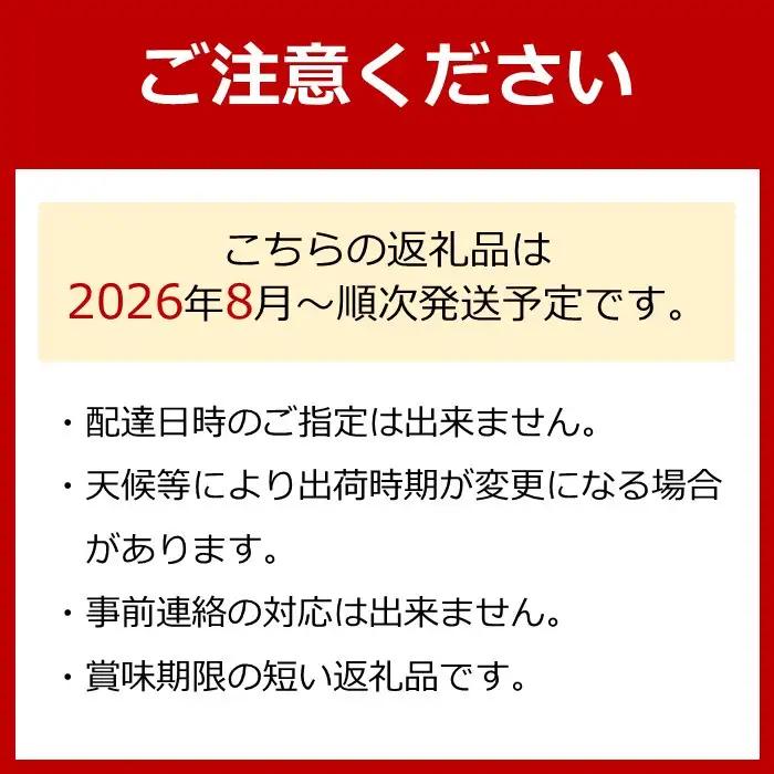 有田産 巨峰 1.2kg 3~4房 フルーツ 巨峰 ［2026年8月下旬以降発送］ 先行予約 和歌山 