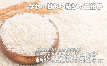 【 先行予約 】 新米 5kg 愛媛県 愛南町産 ヒノヒカリ 令和7年産 白米 精米 お米 ブランド米 送料無料 産地直送 自慢のお米 豊かな 甘み と 粘り ツヤ のある 美味しい ご飯 を ご家庭