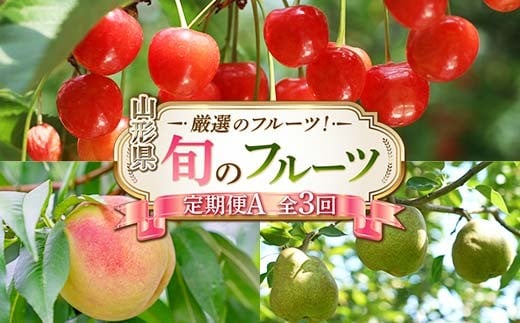 令和8年6月発送開始 山形県 厳選のフルーツ！ 山形県旬のフルーツ定期便A 全3回 FSY-2280
