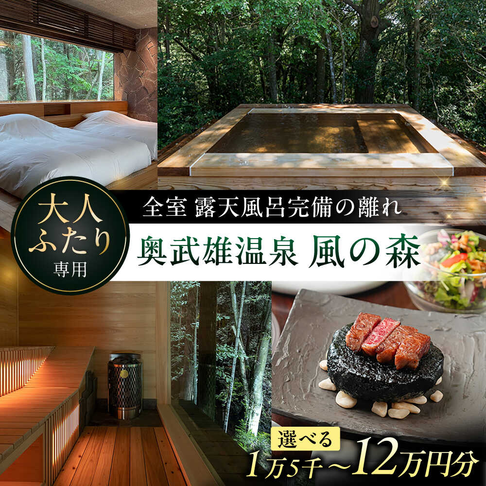 【ふるさと納税】【選べる金額】奥武雄温泉風の森 宿泊補助券 15,000円-120,000円分 / 武雄温泉 温泉 旅館 美肌の湯 露天風呂 森林浴 サウナ 宿泊クーポン 夫婦 カップル 旅行 / 佐賀県 / 株式会社GOTENリゾート[41ATAB001]