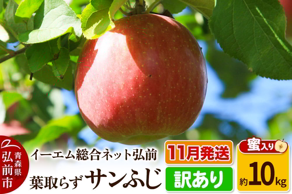 
            りんご【11月発送】【訳あり】葉取らず サンふじ 約10kg 糖度 13度以上【蜜入り】EMりんご
          