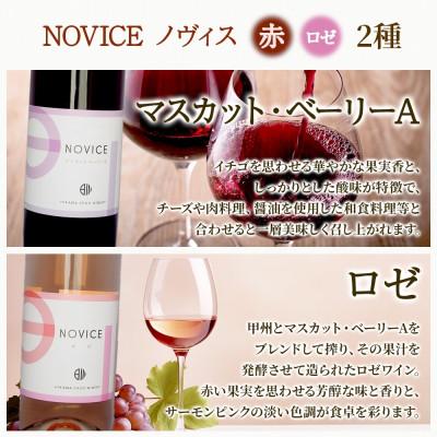 ふるさと納税 笛吹市 NOVICEノヴィス 4種6本セット 720ml ワイン 赤 白 ロゼ 日川中央葡萄酒 山梨県笛吹市 |  | 02