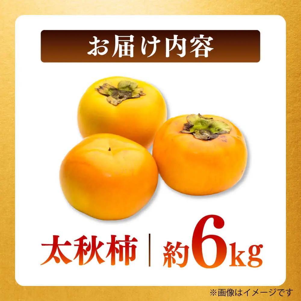【先行予約】太秋柿 約6kg 柿 カキ フルーツ 果物 秋 【日本フルーツ株式会社】[ZFJ071]