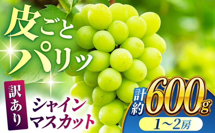 【先行予約】【数量限定】【訳あり】シャインマスカット 約600g(1～2房)【合同会社 社方園】 [ZBZ035]