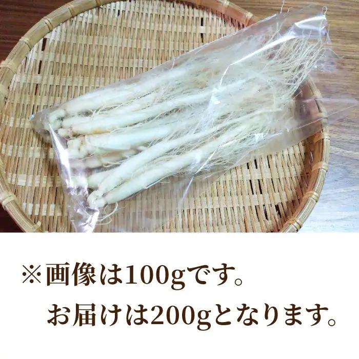 【栽培期間出来るだけ農薬を減らして作った 生高麗人参】2年生 太物 約200g 国産 朝鮮人参｜天然アロマ工房Pono　※2026年10月中旬～11月下旬お届け予定