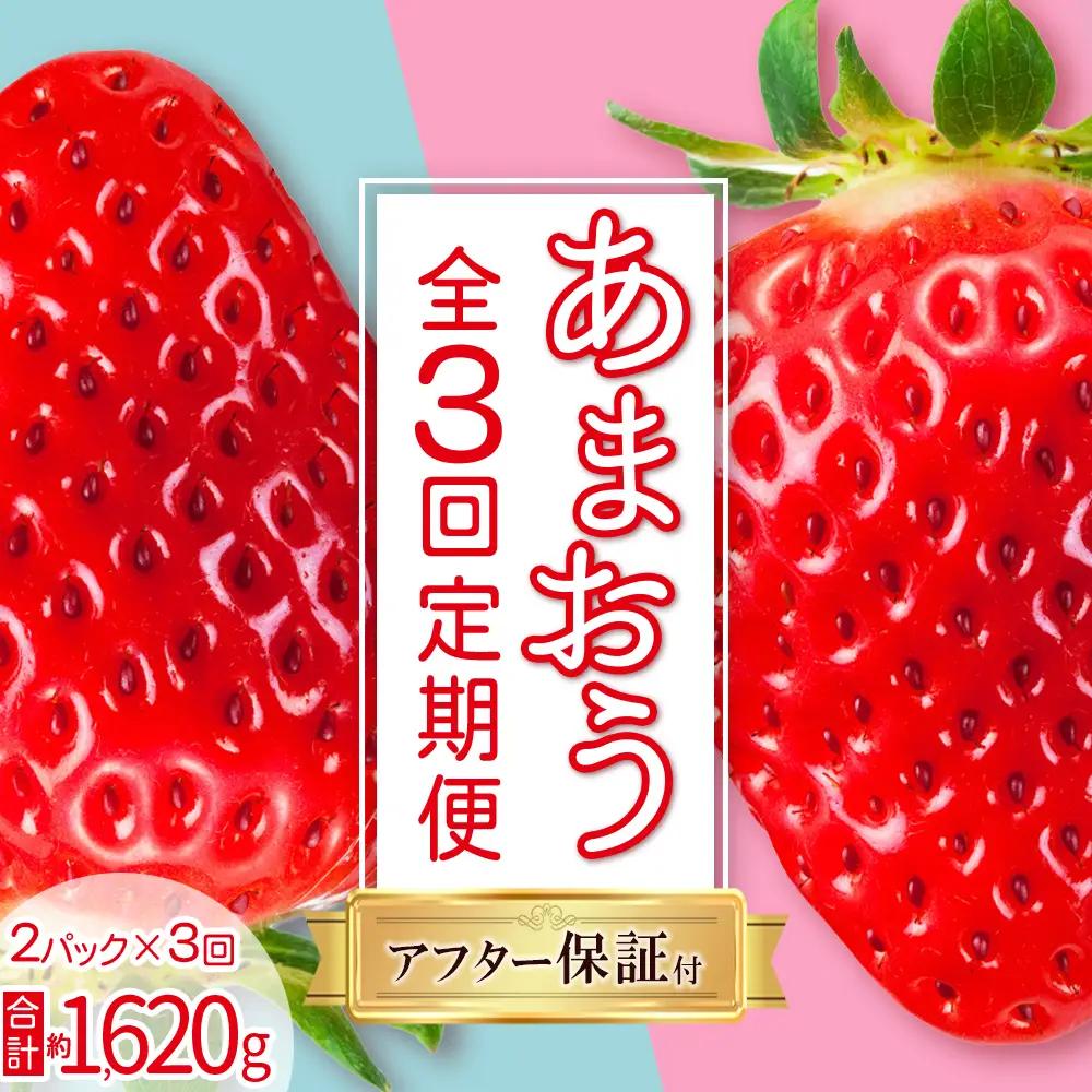 【 あまおう 定期便 全3回】【先行予約／2027年出荷】福岡県産あまおう 約270g 前後 ×２パック いちご イチゴ あまおう 福岡限定 ブランド 果物 フルーツ ストロべリー スイーツ ケーキ パフェ スムージー ジャム 国産 福岡県 お取り寄せ 送料無料 3W27 