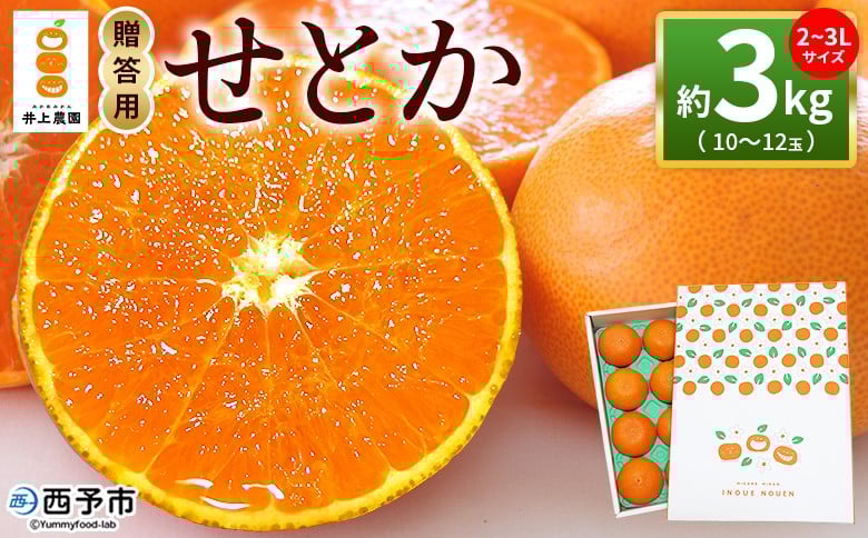 
                  ＜せとか 約3kg 贈答用＞ 2～3L 10～12玉 柑橘 みかん ミカン 蜜柑 果物 くだもの フルーツ セトカ オレンジ 濃厚 薄皮 贈物 贈答 ギフト 国産 愛媛産 特産品 食べて応援 laugh印 井上農園 愛媛県 西予市【常温】『2026年3月上旬～3月中旬迄に順次出荷予定』
                