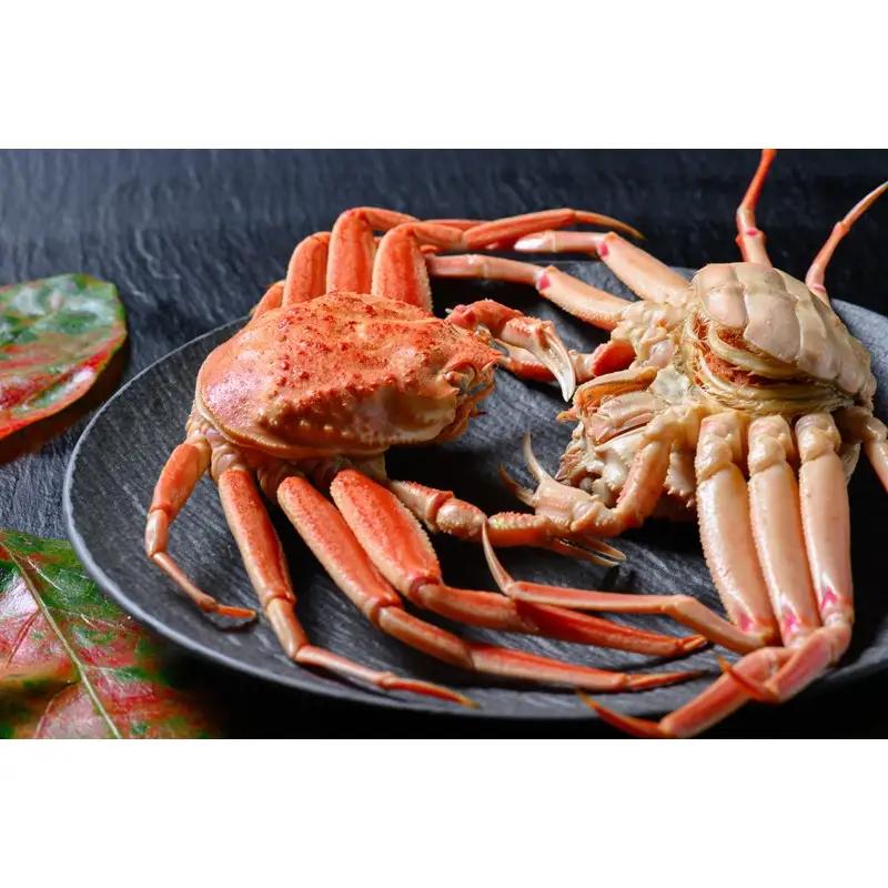 【蟹の匠 魚政】内子外子が美味! 茹でたて セイコガニ（セコ蟹）（香箱ガニ）（こっぺ）中小サイズ 5匹セット