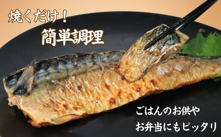 訳あり 塩鯖フィレ 3.5kg  塩鯖 塩さば 塩サバ 塩さばフィレ 塩サバフィレ 切り身 切身 冷凍 長期保存 お取り寄せ グルメ 大容量 ギフト 贈物 千葉県 銚子市 荒野商店 訳あり 冷凍ｻﾊﾞ