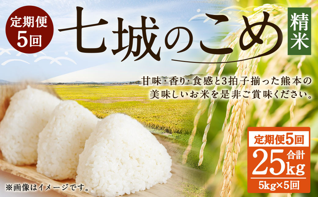 
【5ヶ月定期便】七城のこめ 精米 計25kg（5kg×5回）ヒノヒカリ 白米 九州産 熊本県産
