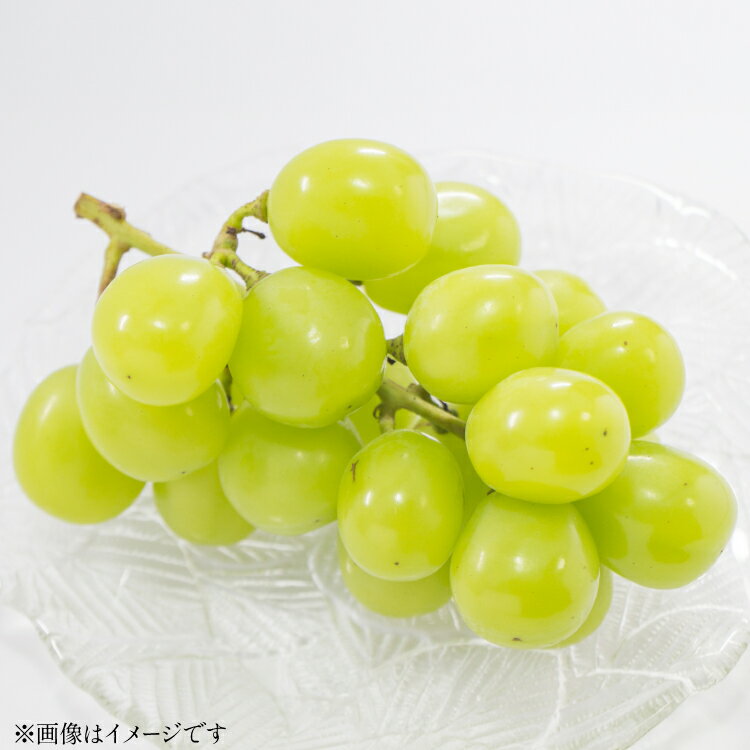 【ふるさと納税】 【期間限定発送】 ぶどう クリスマス シャインマスカット 1房 約700g [tk06ayt050005 山形県 高畠町 大野農園] ぶどう ブドウ 葡萄 マスカット 大粒 果物 くだもの フルーツ