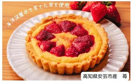 スイーツキッシュ2種セット｜お菓子お菓子お菓子