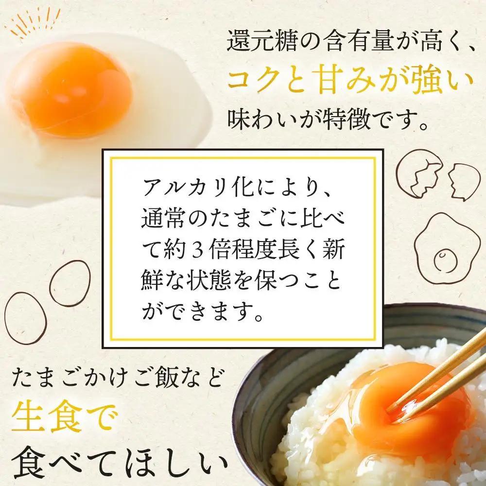 【定期便 毎月発送 全6回】 アルカリ化 玉子 紀州地養卵 合計 80個入 (70個＋割れ補償分10個）× 6回　卵 たまご 玉子 タマゴ 鶏卵 まとめ買い オムレツ 卵かけご飯 朝食 業務用