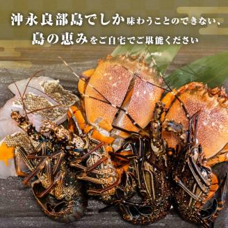 沖永良部島直送！素潜り漁師オススメの天然島魚　海鮮鍋セット2.1キロ（3～4人前）