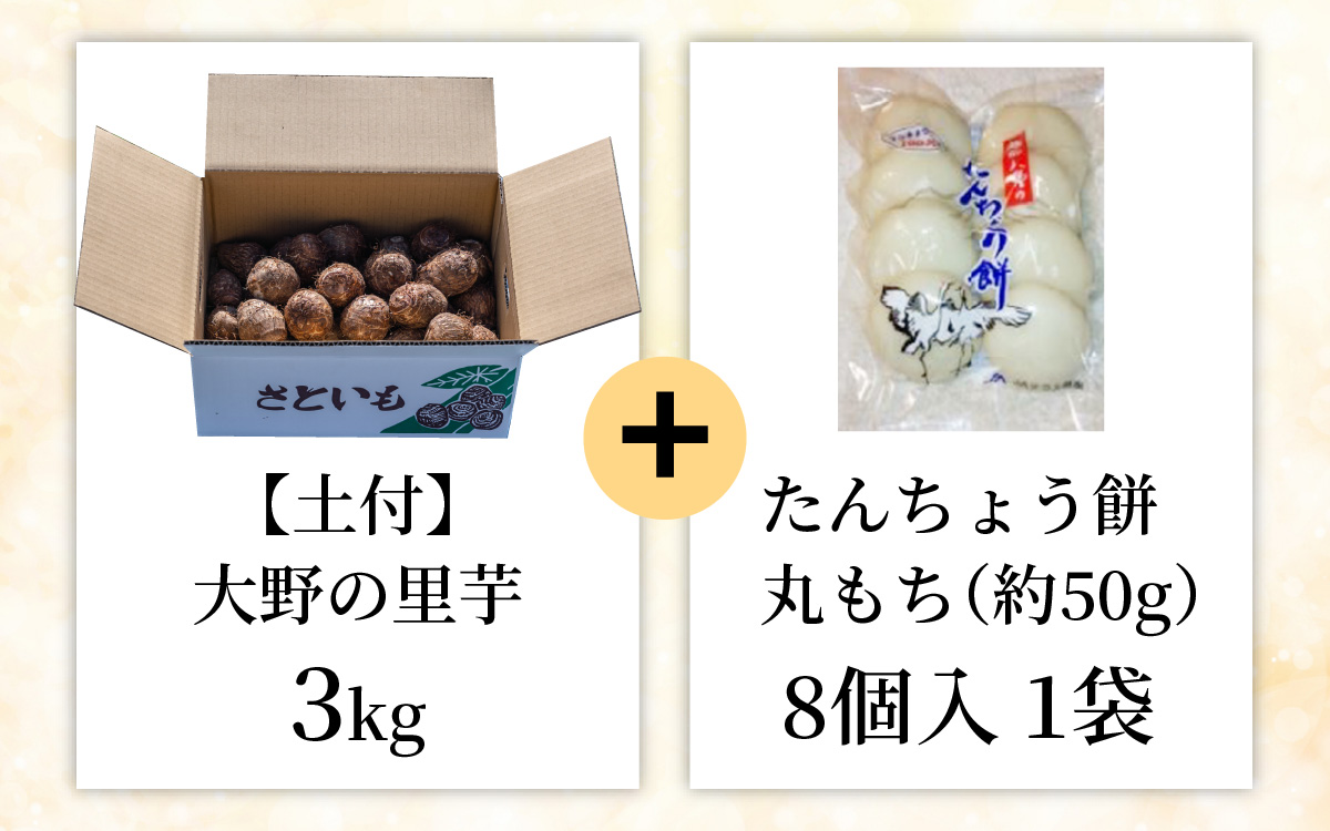 【先行予約】大野の里芋とたんちょう餅の詰め合わせA（里芋3kg+丸餅8個入り×1袋）【2025年11月30日より順次発送】