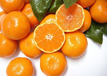 みかん 自然塾 熟成温州みかん 約4.5㎏【szjk0002】