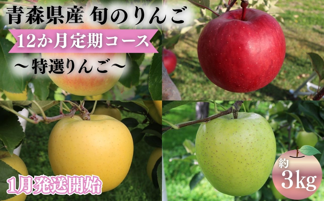 【2027年1月発送開始】青森県産 りんご 12ヶ月定期便 約3kg 特選 1年間品種リレー 食べ比べセット 毎月配送 青森りんご 林檎 フルーツ 平川市