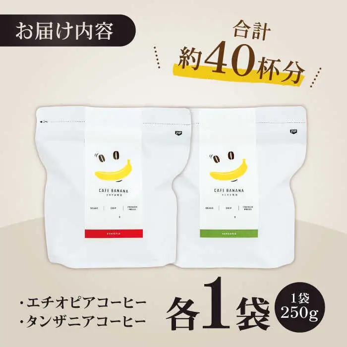 コーヒー[豆]自家焙煎スペシャルティコーヒー豆(250g×2種)約40杯分ZCJ015