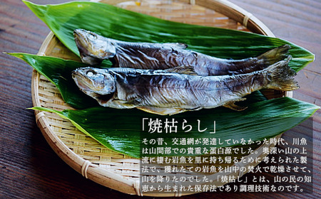 「岩魚の焼枯し（イワナノヤキガラシ）8尾入り」 黒姫山最上流の清流に生息するイワナを≪一尾ずつ串打ち → 焼き上げ→ 乾燥 ≫ 二日間、全工程を手仕込みで丁寧に仕上げています。黒姫山麓の養鱒場（ヨウソ